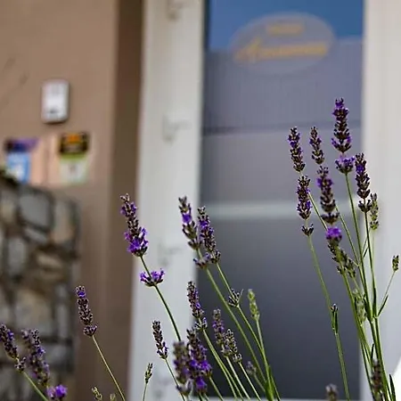 Arianna Hotel
